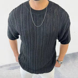 Spring Knitting Custom Tees Sweater For Men Slim Fit O-Neck Solid Hollow Mesh Man Pullover Autumn Long Sleeve Stretch Tops